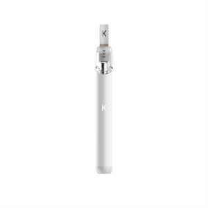 KIWI PEN ARTIC WHITE
